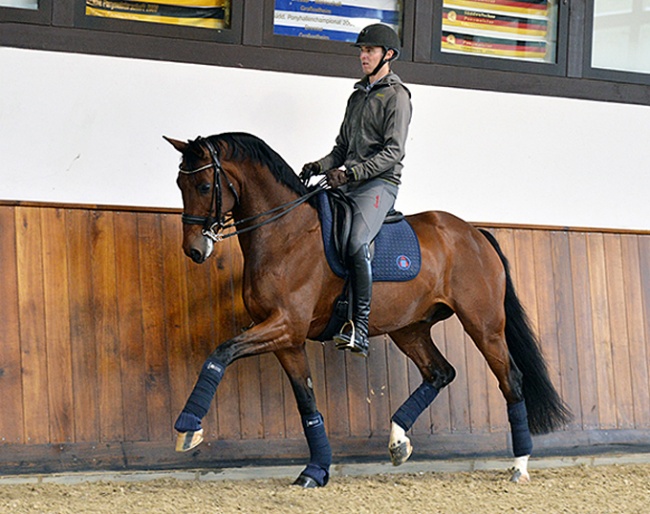 Sönke Rothenberger and Zgander in January 2017 :: Photo © Roslyn Neave