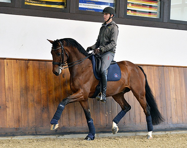 Sönke Rothenberger and Zgander in January 2017 :: Photo © Roslyn Neave