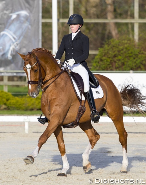 Sofie Lexner and Tobajo Pik Disney at the 2017 CDI Nieuw en St. Joosland :: Photo © Digishots