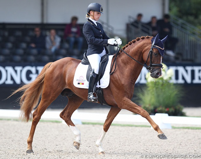 KBRSF Young Horse Workgroup member Katrien Verreet competing Oblix van de Kempenhoeve (by Quaterback x Sungold) at the 2019 World Young Horse Championships :: Photo © Astrid Appels