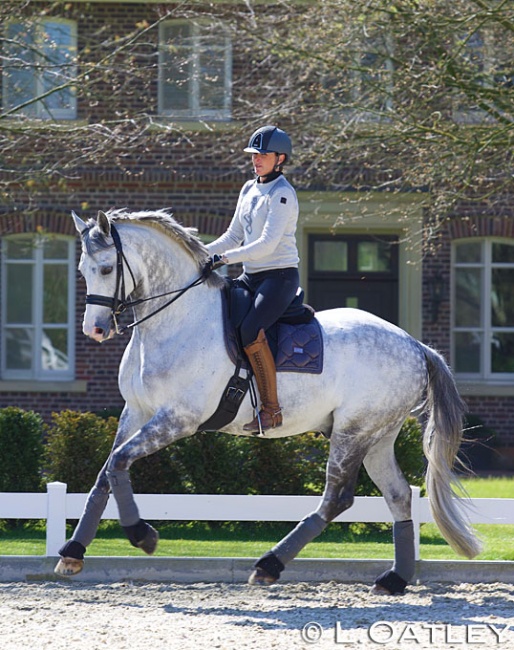 Lyndal Oatley on her new Grand Prix horse Eros at her home, Gestüt Eulenhof, in Dulmen, Germany :: Photo © Oatley