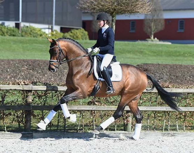 Blue Hors Viconte (by Vivaldi out of Poetin VI)