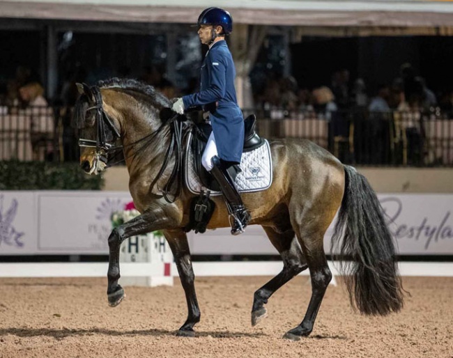 Australian Nicholas Fyffe on the American bred PRE Fiero HGF at the 2020 USPRE Week in Wellington :: Photo © Lily Forado