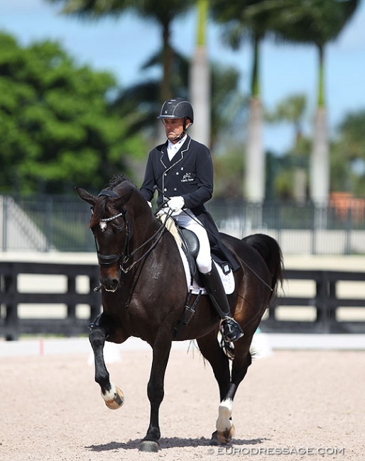 Danish born American Lars Petersen on Svalegards De Luxe in a national Grand Prix at the 2020 CDI 5* Wellington :: Photo © Astrid Appels