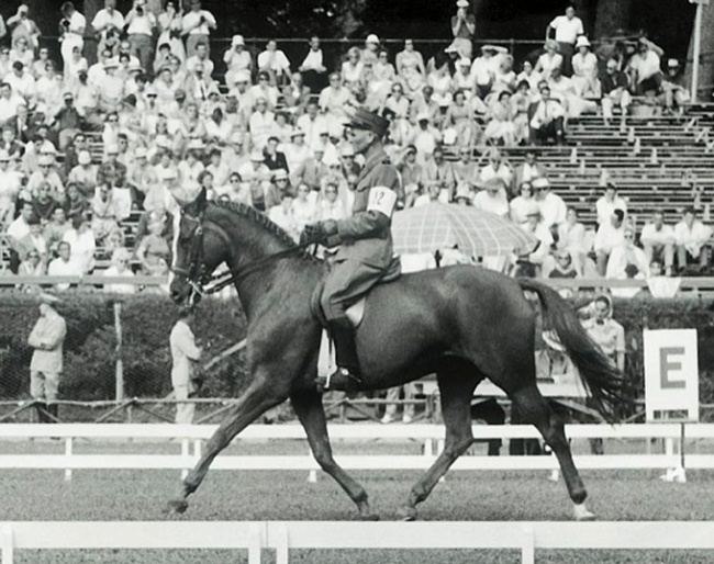 Wolfdietrich (SWB by Daladier xx), European champion 1963 and 1965 with Henri Chammartin, was one of the most refined warmbloods of his time