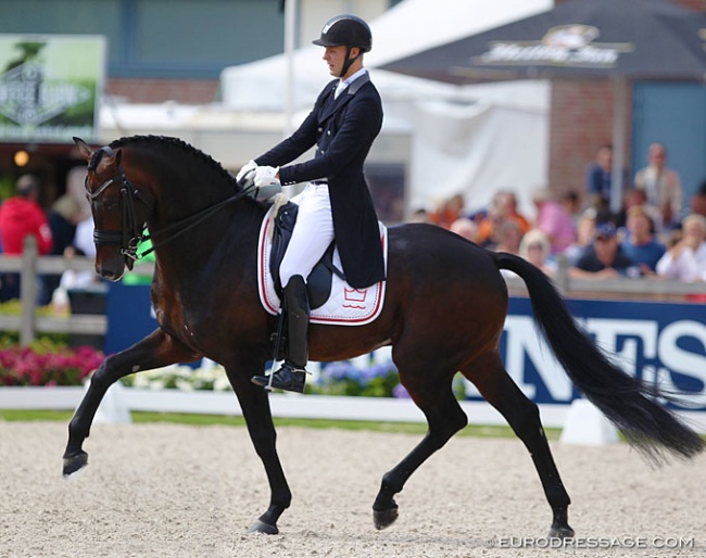 Daniel Bachmann Andersen and Blue Hors Zee Me Blue at the 2017 World Young Horse Championships :: Photo © Astrid Appels