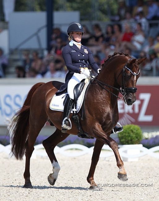 Duendecillo P at the 2018 CDIO Aachen :: Photo © Astrid Appels