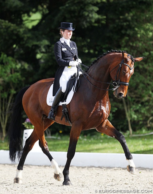 Helen Langehanenberg warming up Vayron at his Nurnberger burgpokal show debut at the 2019 CDI Hagen :: Photo © Astrid Appels