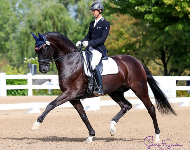 Michael Bragdell and SenSation HW at the 2019 U.S. Young Horse Championships :: Photo © Sue Stickle