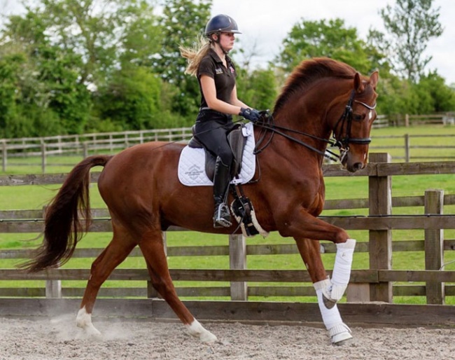 Lily Laughton on her newest horse in the barn, Horatio