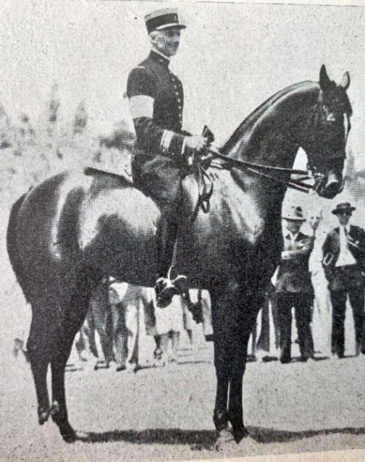 The long legged French bred thoroughbred Taine xx presented a challenging conformation, but won two Olympic gold medals in 1932. :: Photo courtesy St.Georg