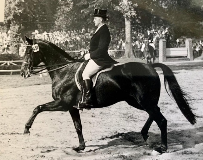 The thoroughbred Chronist xx with his usual rider Willi Schultheis in the early 1950s. Because Schultheis was a professional, jumping legend Fritz Thiedemann rode him on the German dressage team at the 1952 Olympic Games :: Photo courtesy Katharina Schultheis