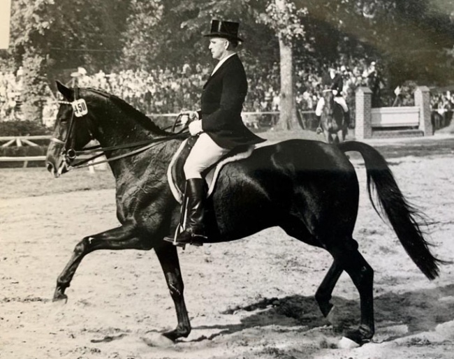 The thoroughbred Chronist xx with his usual rider Willi Schultheis in the early 1950s. Because Schultheis was a professional, jumping legend Fritz Thiedemann rode him on the German dressage team at the 1952 Olympic Games :: Photo courtesy Katharina Schultheis