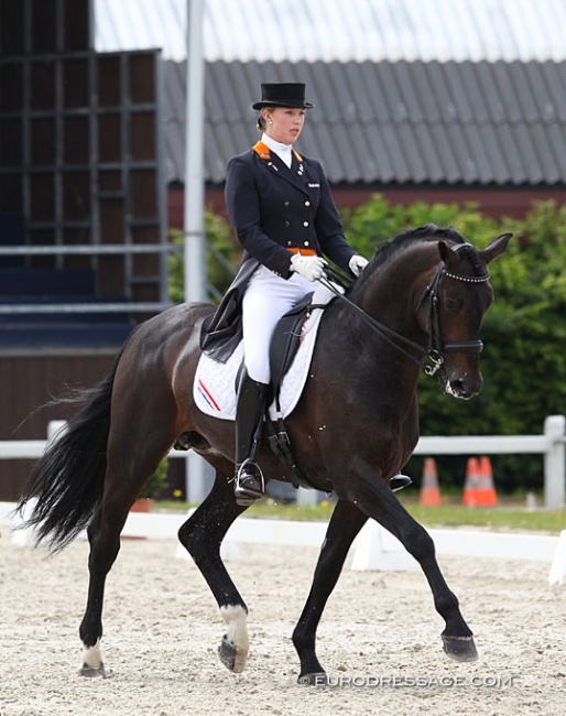 Stephanie Kooijman and Ulysse at the 2012 CDI-PJYR Moorsele :: Photo © Astrid Appels