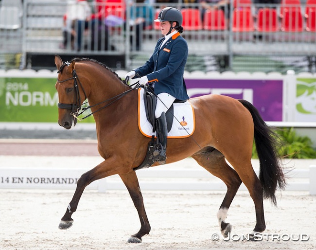 Sanne Voets and Vedet PB at the 2014 World Equestrian Games in Caen :: Photo © Jon Stroud