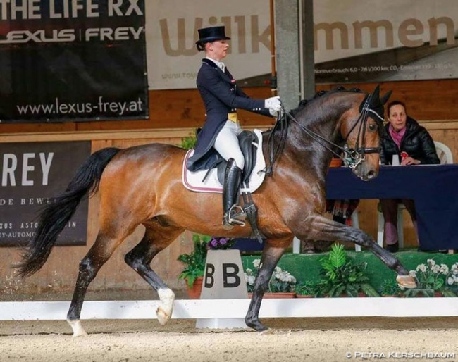 Pia Gabriel and Junimond competing in Austria in 2017 :: Photo © Petra Kerschbaum