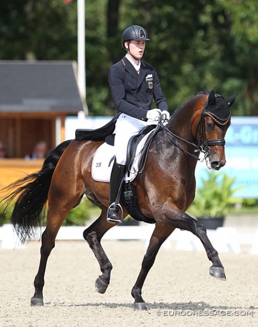 Luca Michels and Rendezvous at the 2017 European Young Riders Championships :: Photo © Astrid Appels