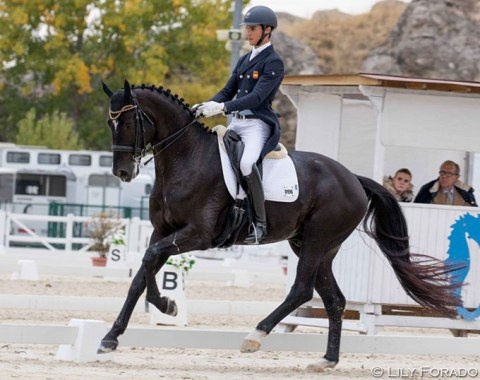 Juan Matute Guimon and Copernico TM at the 2018 Spanish Developing PSG Horse Championships :: Photo © Lily Forado