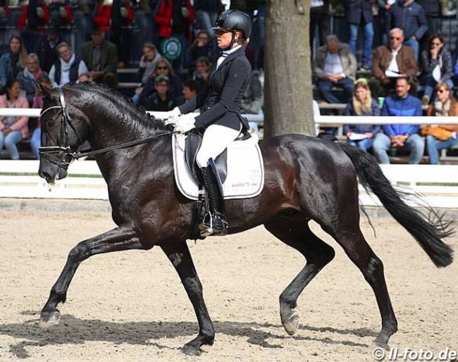 Fiebelkorn and Don Mateo at the 2019 Bundeschampionate :: Photo © LL-foto