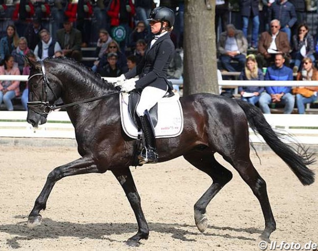 Fiebelkorn and Don Mateo at the 2019 Bundeschampionate :: Photo © LL-foto