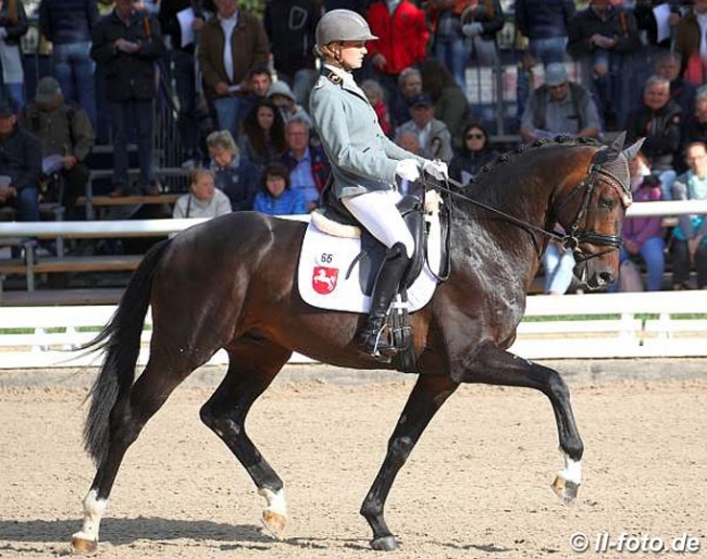 Janina Tietze and Birmingham at the 2019 Bundeschampionate :: Photo © LL-foto