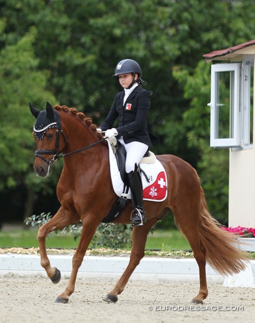 Swiss pony pair, Robynne Graf on Dallas, at the 2019 CDIO-P Hagen :: Photo © Astrid Appels