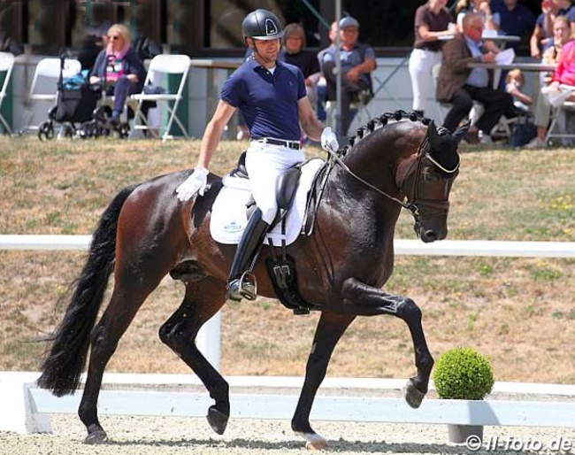 Matthias Bouten on Fidelio Royal at the second German WCYH selection trial in Warendorf in July 2019 :: Photo © LL-foto