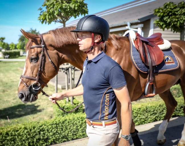 How to Best Prepare your Horse for a Return to the Competition Arena, Post Confinement