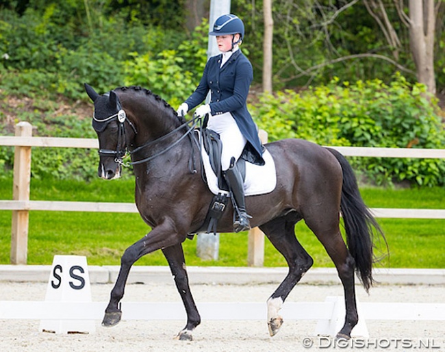 Sanne van der Pols and Cuvanck PP at the 2020 Dutch EYC Team Selection Trial in Exloo :: Photo © Digishots