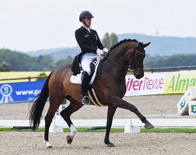 Frederic Wandres and Hof Kasselmann's Quizmaster (Quasar de Charry x Velten Third) on their way to third place and 74.106 percent in the St Georges Special