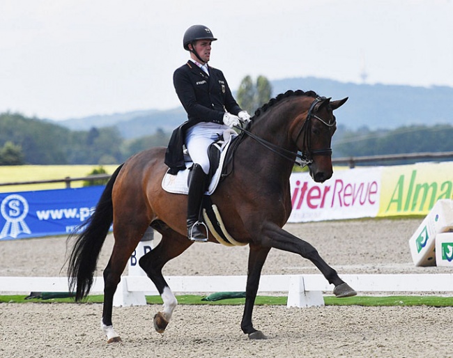 Frederic Wandres and Hof Kasselmann's Quizmaster (Quasar de Charry x Velten Third) on their way to third place and 74.106 percent in the St Georges Special 