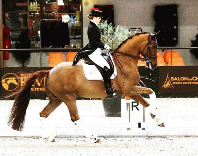Morgan Barbançon Mestre on Deodoro at the 2020 CDI Le Mans :: Photo © A. Brenninkmeijer