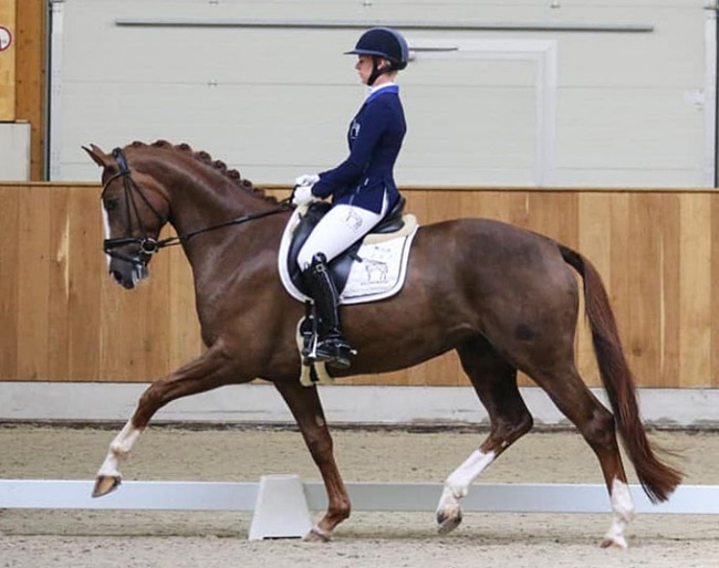 Kira Wegmann and Scarlett O'Hara competing in Riesenbeck on 18 June 2020