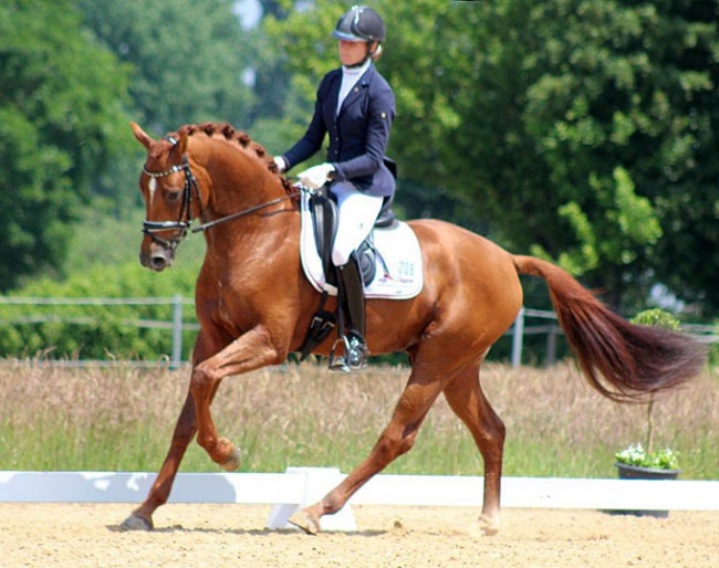 Madita Zurheide and Van Primero earn their ticket to Warendorf in Uder