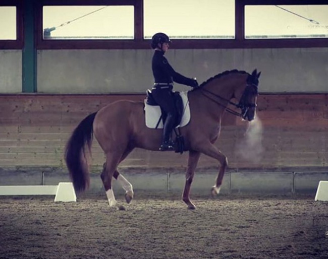 Joana Peterka on Davidoff ter Kwincke at the Piaff Forderpreis selection trial in Warendorf in February 2020