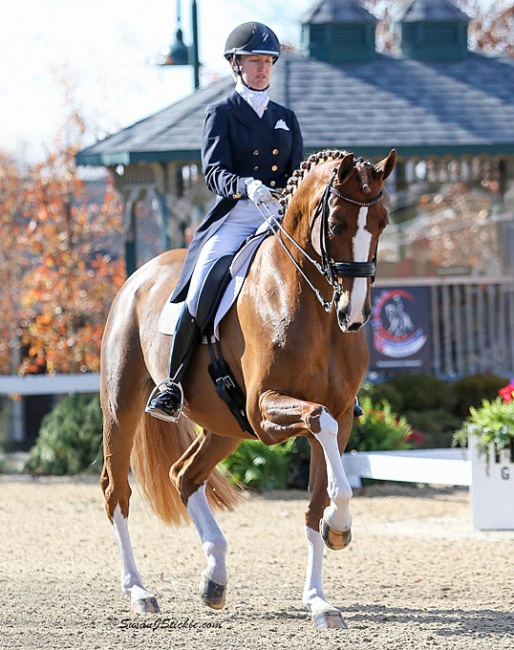  The Grand Prix mare Elfenfeuer under Alice Tarjan, USA, is the sister of Elitärs dam :: Photo © Sue Stickle