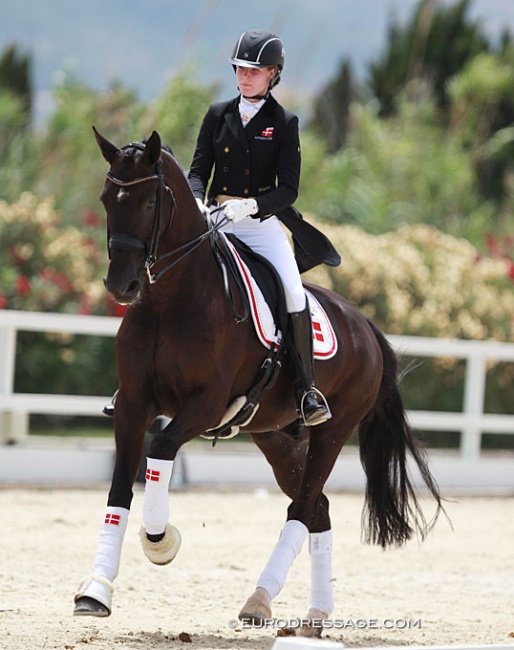 Maja Andreasen and Kano were members of the Danish team at the 2016 European Young Riders Championships in Oliva Nova, Spain :: Photo © Astrid Appels
