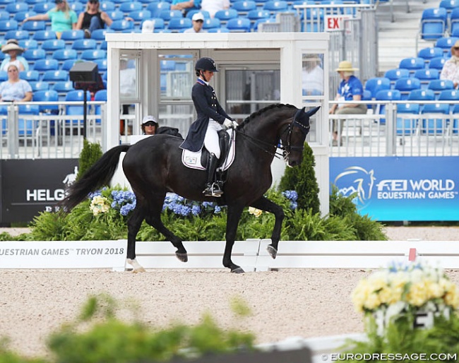 Kasey Perry-Glass and Gorklintgaards Dublet at the 2018 World Equestrian Games in Tryon :: Photo © Astrid Appels