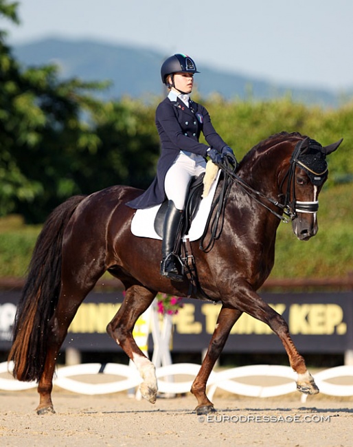 Alice Campanella and Gracile D.E.S. at the 2019 European Young Riders Championships :: Photo © Astrid Appels