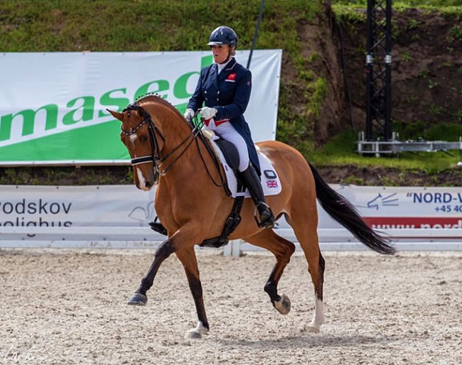 Georgia Stokes and Talented Mr Ripley at the 2019 CDIO Uggerhalne in Denmark
