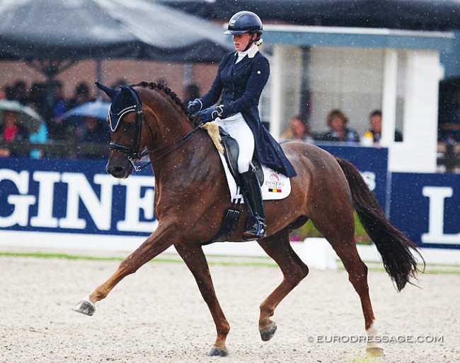 Belgian Flore De Winne and MacDonovan at the 2019 World Young Horse Championships in Ermelo :: Photo © Astrid Appels