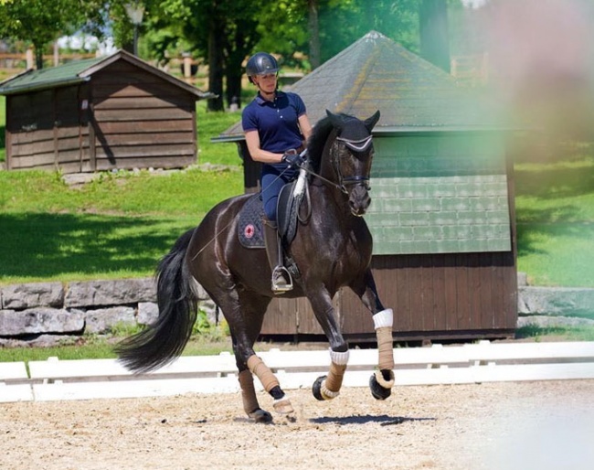 Jessica von Bredow-Werndl purchased Forsazza de Malleret as her own future Grand Prix hopeful :: Photo © Flora Keller