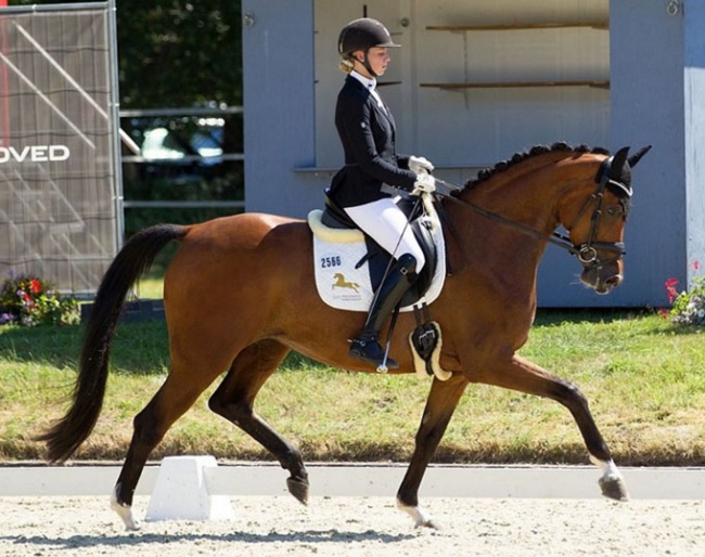 Charlotte Tollhopf and Gut Neuenhof's Westfalian mare Embrace at Hof Bettenrode :: Photo © Volker Hagemeister