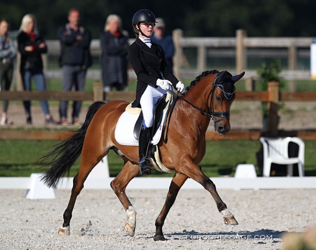 Ine Blommaert on Wise Guy at the 2020 CDI Grote Brogel :: Photo © Astrid Appels