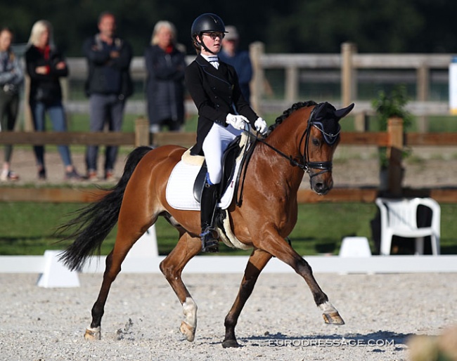 Ine Blommaert on Wise Guy at the 2020 CDI Grote Brogel :: Photo © Astrid Appels