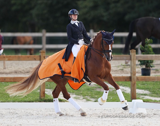 Inge Heylen and Kalagan H win the Prix St Georges at the 2020 CDI Grote Brogel :: Photo © Astrid Appels