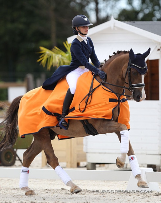 Aleksandra Maksakova and Bojengels win the Under 25 division at the 2020 CDI Grote Brogel :: Photo © Astrid Appels