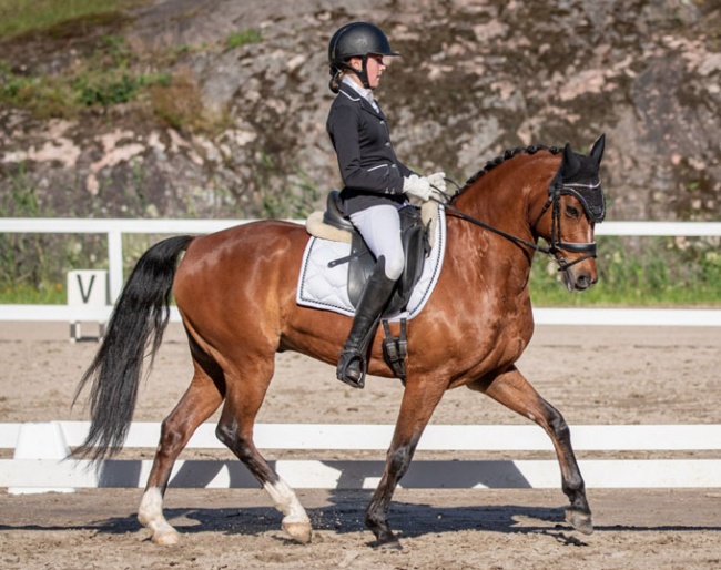 Pony rider Roosa Salo on Sir Maximus Welshwarrior at the Helsinki team selection trial :: Photo © Sonja Holma