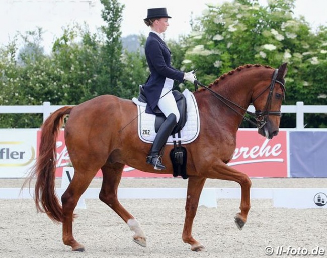 Fabienne Müller-Lutkemeier and Valesco (by Vitalis x Douceur) at the 2020 CDN Herbergen :: Photo © LL-foto