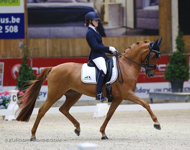 Micky Schelstraete and Wonderful Girl at the 2020 CDI Lier :: Photo © Astrid Appels